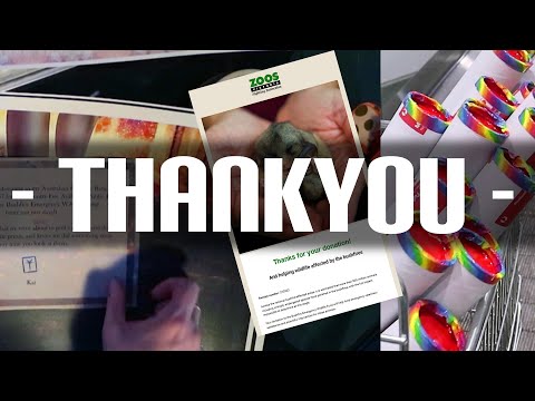 Donating To The Bushfire Appeal (thanks to you!)