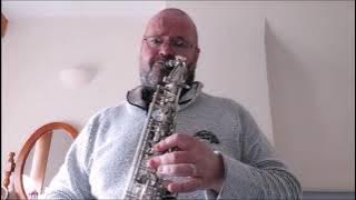 Cheap Chinese saxophones or not?