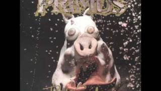Primus - DMV
