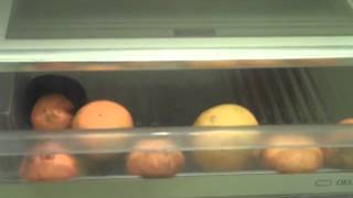 Agribusiness Marketing