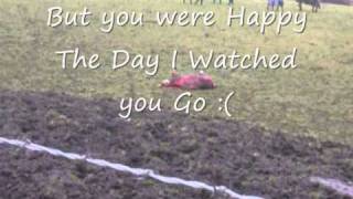 You Could Be Happy?