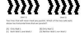 Cafe Wall Illusion