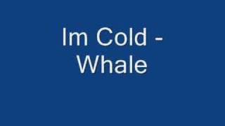 Whale Im Cold