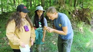 Cranberry Lake Biological Station | Day in the Life
Keep up with us 🌱
Instagram: @suny.esf
Facebook: @sunyesf
TikTok: @sunyesf
Esf.edu Cranberry Lake Biological Station | Day in the Life