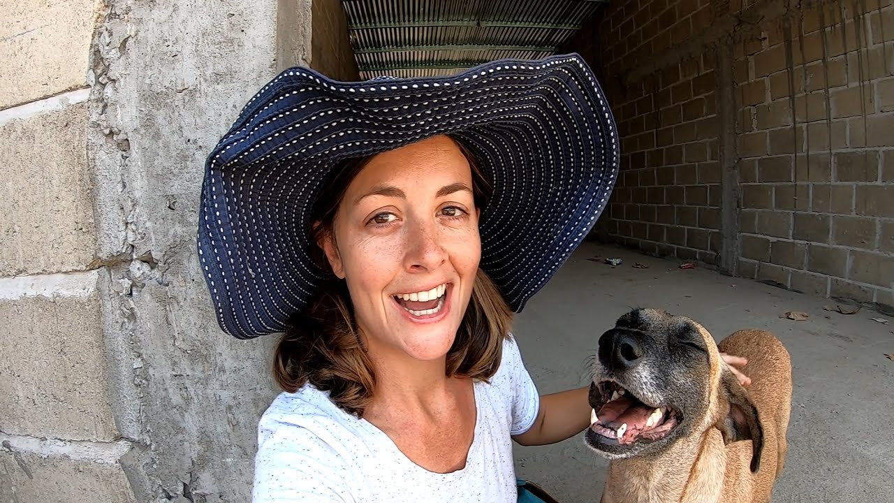She Found Us... Can we Save Kiwi?! Chuffed Adventure's Special