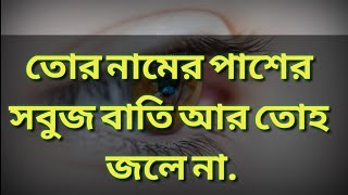 তোর নামের পাশে সবুজ বাতি আর তো জলে না❤ whatsapp status
