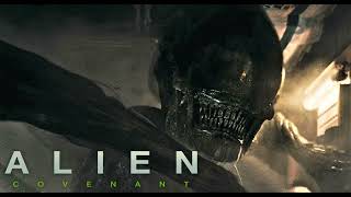Alien Covenant 2017 Ost - The Covenant By Jed Kurzel