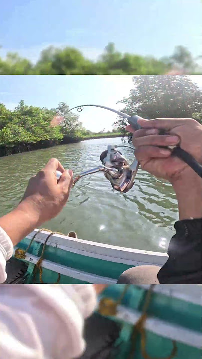 Hari Libur Gak Mancing Rugi Dong #mancing #fishing #mancingmania