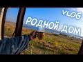 VLOG. Дом / Ремонт / Бой Усика / Снова Улетаем.