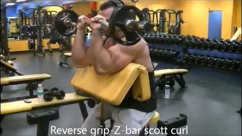 reverse grip z-bar scott curl