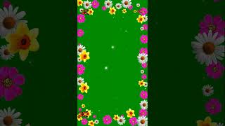 Flower Frame Green Screen