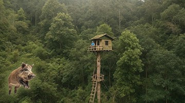30 dagen een bushcraftboomhut bouwen – Overleef een aanval van wilde zwijnen!