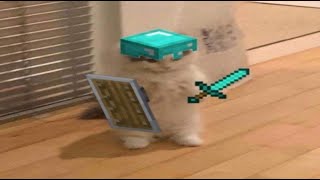 UNUSUAL MEMES COMPILATION V39