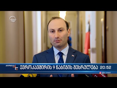 ევროკავშირის 9 ნაბიჯის შესრულება