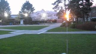 Monday Morning In The Bellarmine Quadrangle