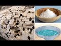 How To Kill Termites Naturally | 100% Work