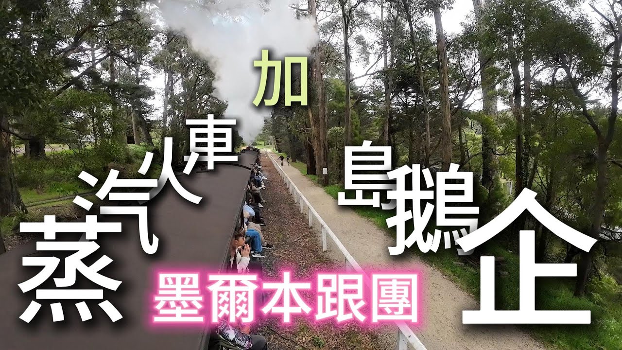 澳洲墨爾本旅遊 第二集 - 普芬比利蒸汽火車+菲利普島看企鵝 🚂🐧一日遊 Puffing Billy + Phillip Island Penguin Parade