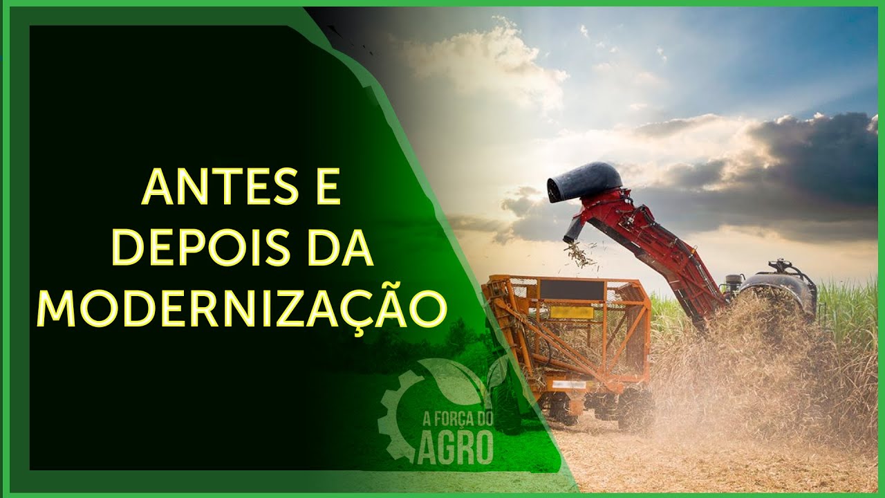 Cortador de cana tem papel fundamental na evolução do agro