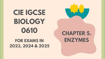 5. Enzymes (Cambridge IGCSE Biology 0610 for exams in 2023, 2024 and 2025) @IGCSEStudyBuddy