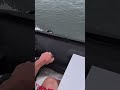 🚤 Testing the BEST inflatable boat on the market 💥 Out on the Menai Straits