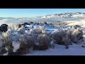 March 2018 Freezing Fog over Reno