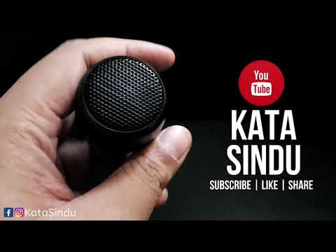 Video: Pembesar Suara Kecil Dengan Bluetooth: Gambaran Keseluruhan Model Mini Untuk Muzik. Bagaimana Memilih?