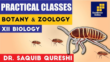 XII - Zoology & Botany - Description of Scheme by Dr. Saquib Qureshi