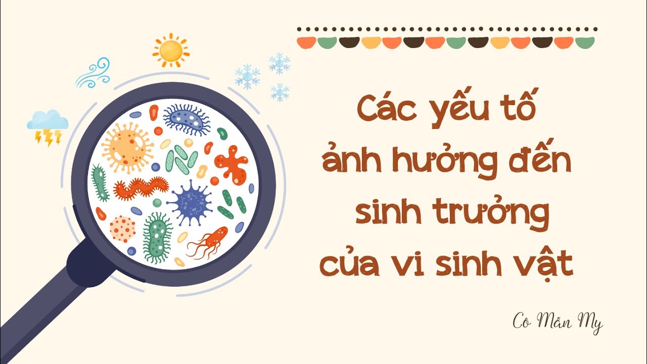 Các yếu tố ảnh hưởng đến sinh trưởng của vi sinh vật (phần 1) - Sinh học 10 - OLM.VN