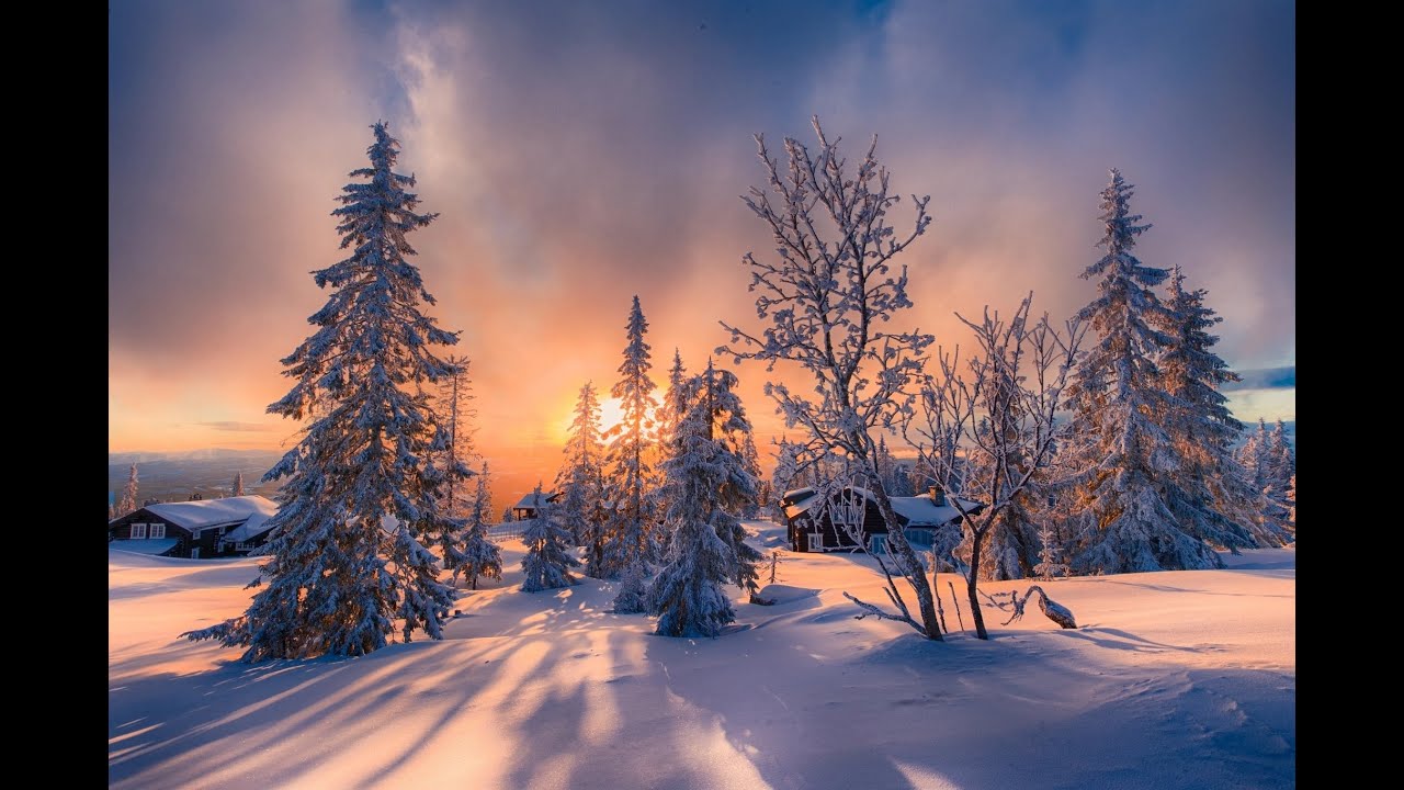Шаманка вытянула свой счастливый билет!