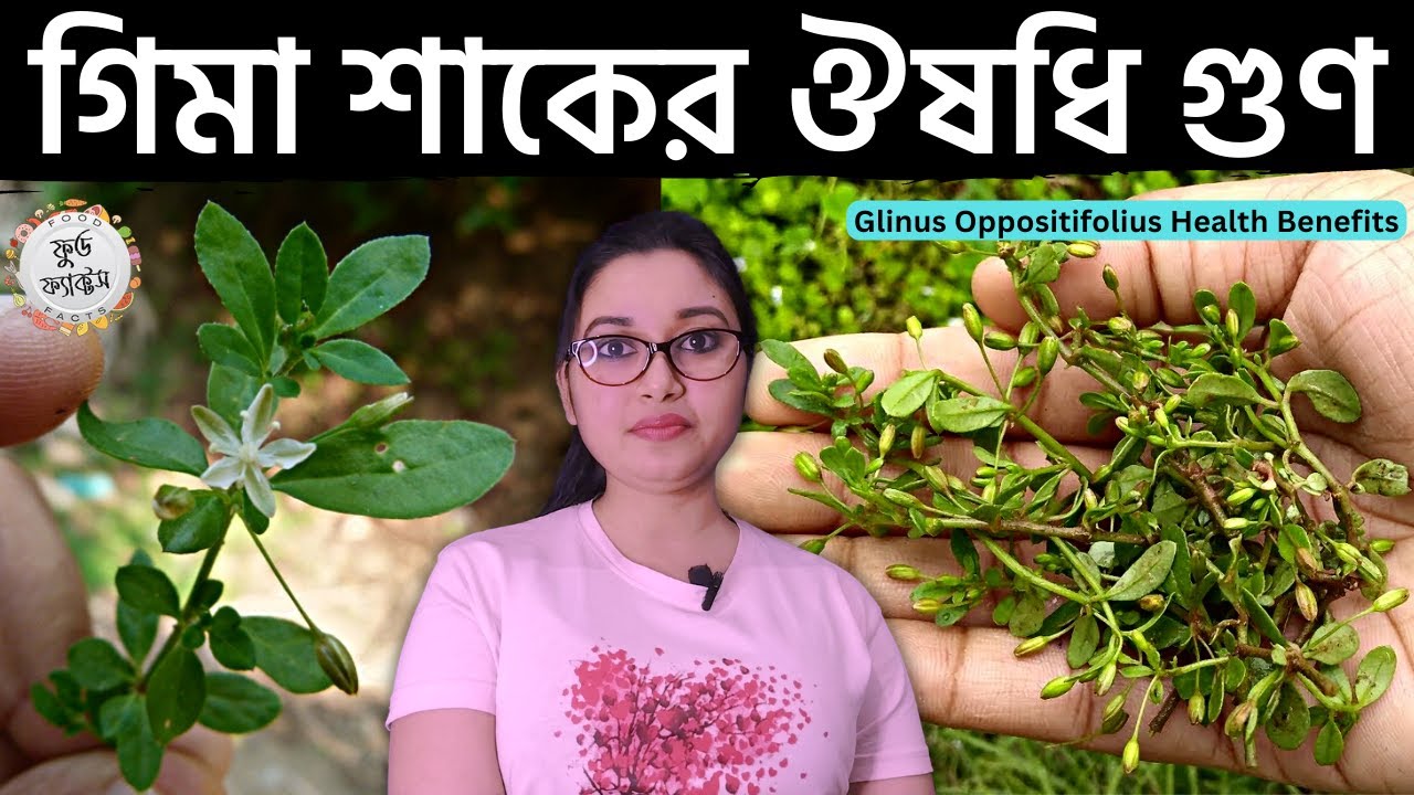 গিমা শাকের উপকারিতা কি গিমে শাক খেলে কি হয় Gima Shaker Upokarita
