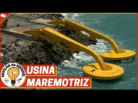 Usina maremotriz | Como funciona a usina maremotriz? | Energia ondomotriz | O que é usina maremotriz