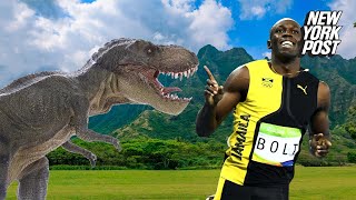 Could Usain Bolt outrun a T rex New York Post
