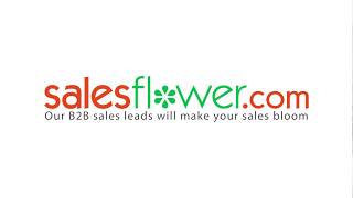 New Business Search | Salesflower.com News
