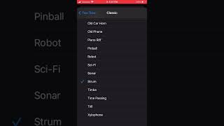 Phone App: Ringtones Soundtrack: Classic: Strum screenshot 1