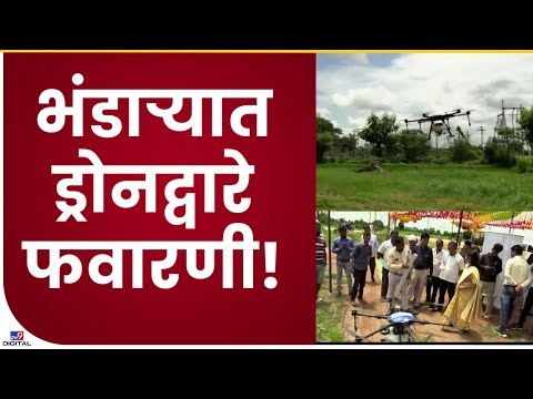 Bhandara Drone spreying | भंडाऱ्यात ड्रोनद्वारे पिकांवर किडनाशकांची फवारणी- tv9
