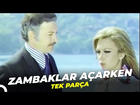 Zambaklar Açarken | Kartal Tibet - Filiz Akın Eski Türk Filmi Full İzle