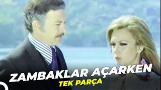 Zambaklar Açarken Kartal Tibet - Filiz Akın Eski Türk Filmi Full İzle