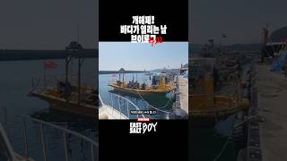 개해제가 뭐야?! #스쿠버다이빙 #scubadive #개해제 #하우딥 #다이빙