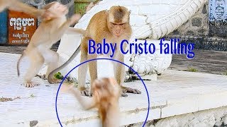 So Pity Gorgeous Baby Cristo Fall Down While Scared Run Away From Teenager Monkey