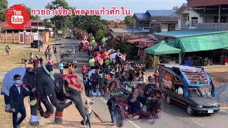 ขบวนช้างเยอะที่สุด‼️มาร่วมวันเกิด…ไอ้ต้าว บัวบาน🎂ซุปเปอร์สตาร์🐘🐘