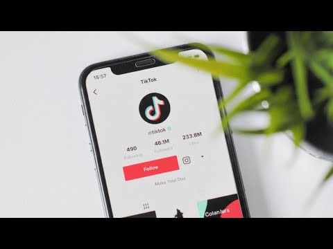 زيادة متابعين تيك توك عرب ومصريين في يوم واحد