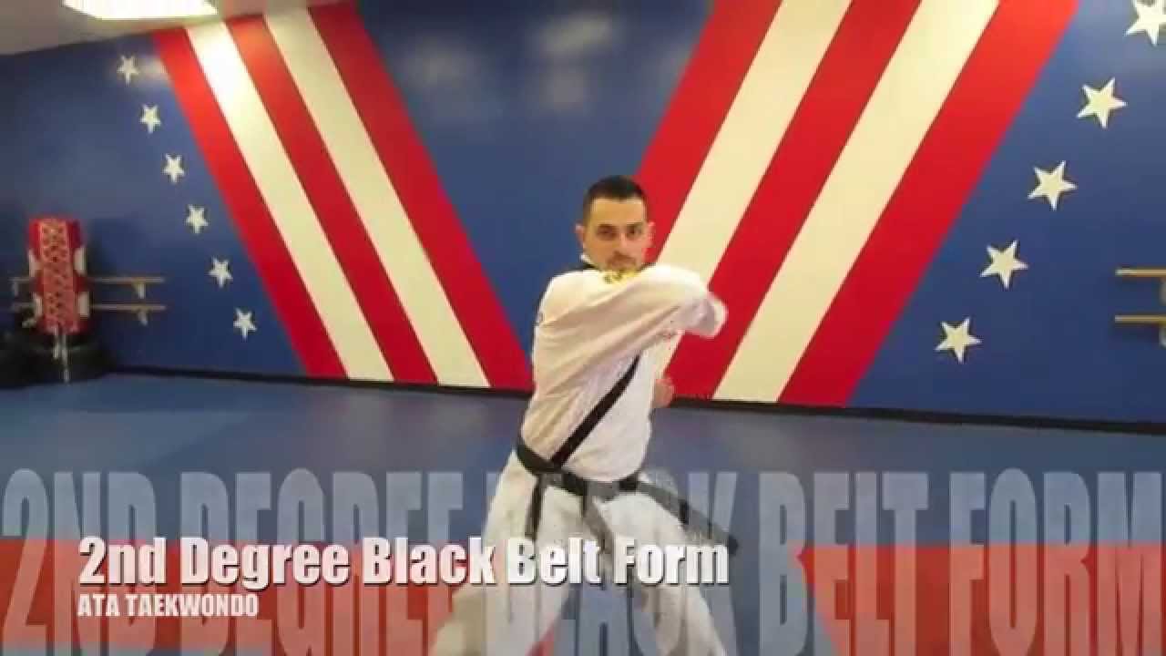 2nd degree black belt essay