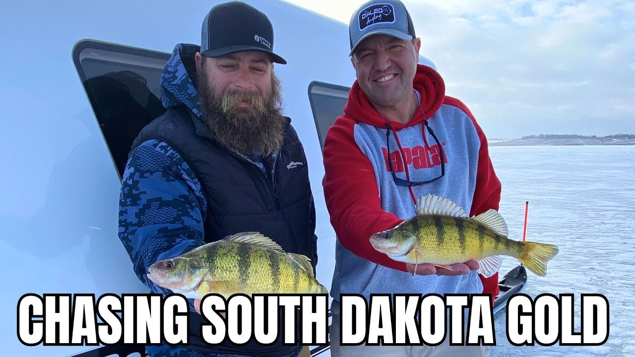 Chasing South Dakota Gold | Dialed In Angling