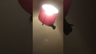 Tut #birdie get off the light shade haha!! #pigeon #naughtypigeon #naughty #oi #oiyou Tut #birdie get off the light shade haha!! #pigeon #naughtypigeon #naughty #oi #oiyou