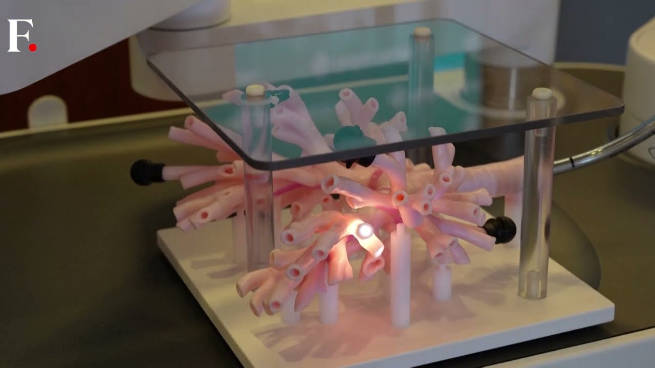 New Era of Medical Science: Robots to Detect Lung Cancer?