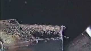 Rescue 911 - "Swarm Save" (Part 1 of 2)