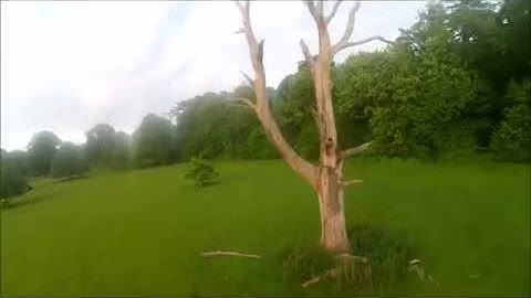 Vortex 285 fully updated firmware to bf 3.1.7