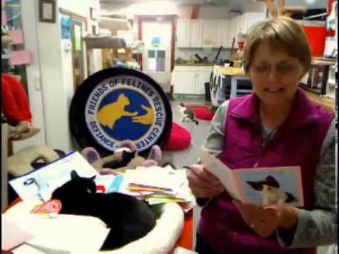 cage free vs organic eggs Afternoon Envelopes 2-13-13