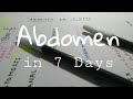 Abdomen in 7 Days 🍃 | TCML and ENMEDER