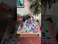 Puzzle sort ball solve quickly with fast pace